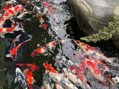 -贵阳高新惠诚食品有限公司
