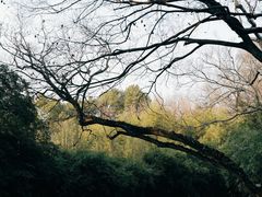 -上海方塔园