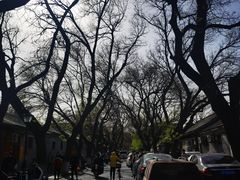 -北京国子监胡同