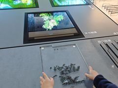 -鸿山遗址博物馆