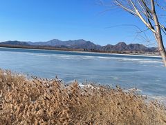 -青龙湖公园