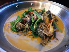 -饭怕鱼(阳光100店)