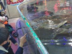 -鸿通城购物中心