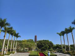 -红花山公园