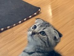 -龟与熊猫宠物公园(南坪店)
