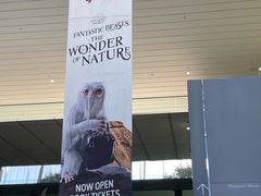 -墨尔本博物馆(Melbourne Museum)