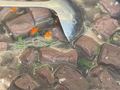 -金典银峰老鹅馆·昆山菜(亭林公园店)