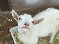 -南戴河国际娱乐中心