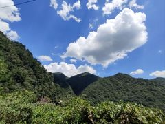 -东天目山风景区