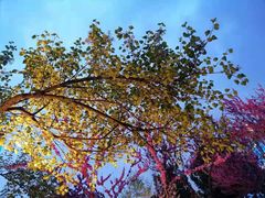 -西安创业咖啡街区