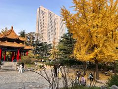 -子霖南山鲜虾面(南山总店)