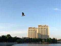-南翔镇银翔湖公园