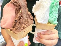 -柠檬车露(卖草地店)