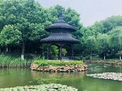 -天目湖御水温泉·度假酒店