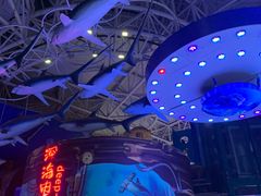 -烟台海昌鲸鲨海洋公园