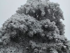 -江南天池