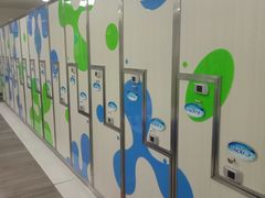 -南宫温泉水世界