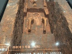 -盘龙城遗址博物院