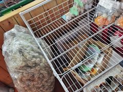 -蓝湾碧波·老字号·疍家非遗海上餐厅