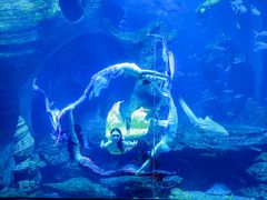 -多彩贵州城极地海洋世界