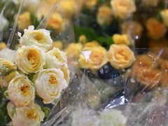 -循礼门鲜花花市(武汉循礼门店)