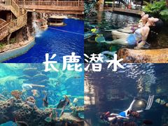 -长鹿旅游休博园