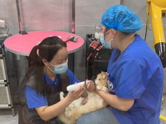 -宠福鑫康馨动物医院·骨科·眼科