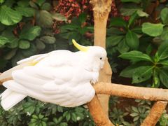 -南宫五洲植物乐园