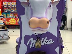 -英迪拉·甘地国际机场