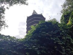 -正阳书局(西四南大街店)