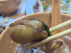 -长城砂煲田鸡粥
