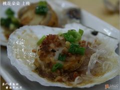 蒜蓉元贝-海岛渔村大酒店(云霄路店)