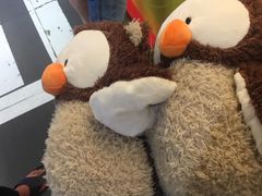 -PAWTOY爪e玩偶店(天兴罗斯福店)