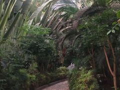 -龙达温泉生态城