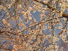 -安定门(地铁站)