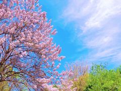 -丰台科技园生态主题公园