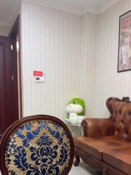 -南京医科大学友谊整形外科医院