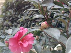 -上海千禧海鸥大酒店
