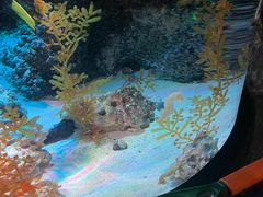 -沈阳海洋探索中心