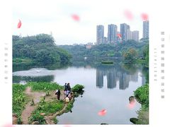 -重庆彩云湖湿地公园