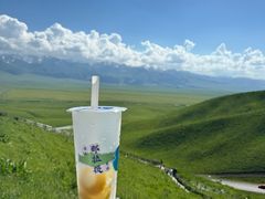 -新疆那拉提国家旅游度假区