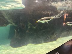 -成都浩海立方海洋公园