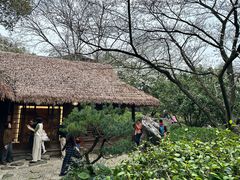 -中国茶叶博物馆(双峰馆区)