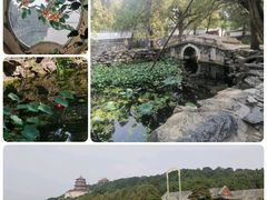-颐和园