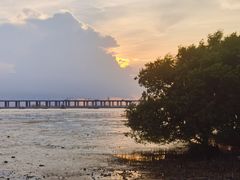 -宝安西湾红树林湿地公园