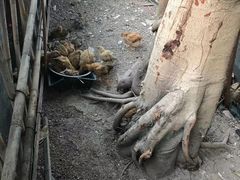 -邹记·美食(斗门店)