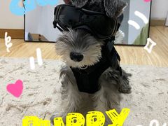 -转角宠物(转塘方家苑店)