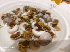 盐水香螺-大家发海鲜城夜排档(华山中路店)