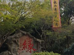 -杭州黄龙洞