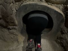 -嘉荫恐龙国家地质公园